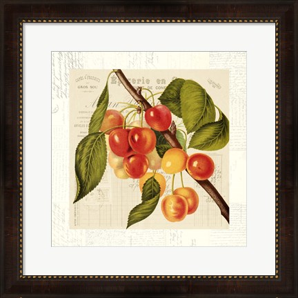 Framed Cerises Print