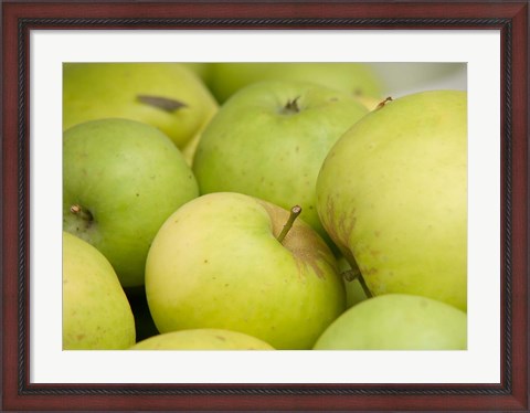 Framed Canada, British Columbia, Cowichan Valley Close-Up Of Green Apples Print