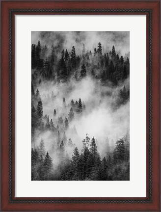 Framed Swirling Forest Mist, Yosemite NP (BW) Print