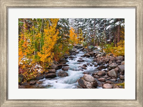 Framed Fresh Snow Along Bishop Creek Print