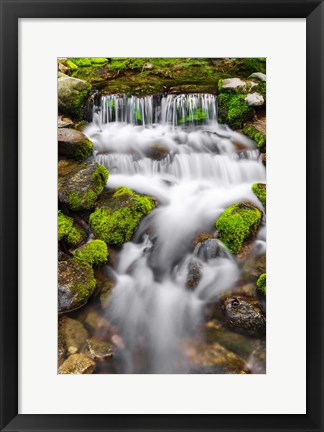 Framed Fern Spring, California Print