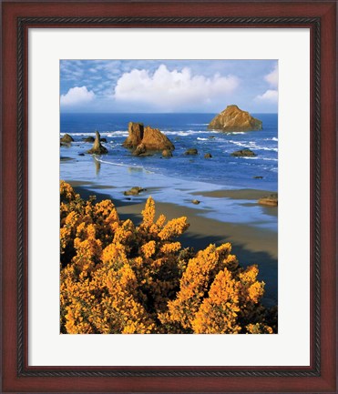 Framed Rocky Coastline Of Oregon Print