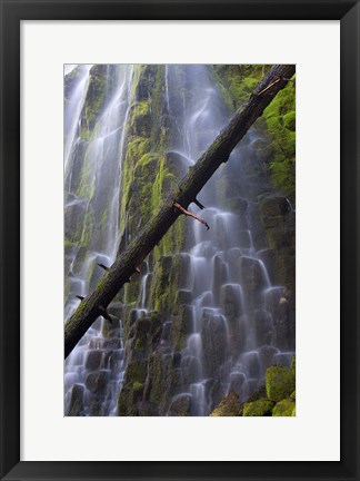 Framed Proxy Falls Over Basalt Columns, Oregon Print