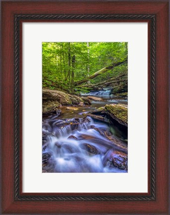 Framed Kitchen Creek Cascade, Pennsylvania Print