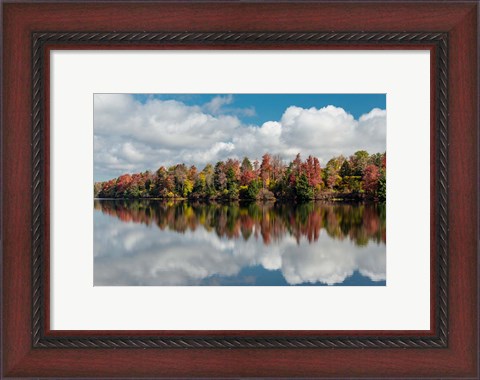 Framed Autumn Lake Reflection Of Ricketts Glen State Park, Pennsylvania Print