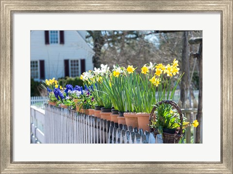 Framed Garden At Colonial Williamsburg, Virginia Print