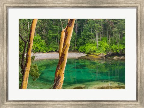 Framed Secluded Bay On Sucia Island, Washington State Print