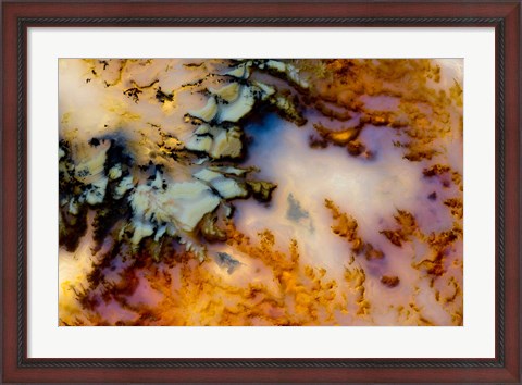 Framed Graveyard Point Plume Print