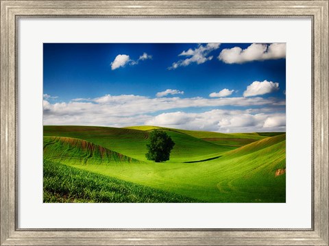 Framed Rolling Wheat Field Landscape With A Lone Tree Print