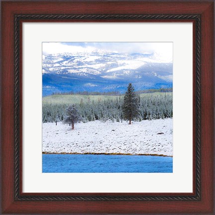 Framed Yellowstone National Park In Winter, Wyoming Print