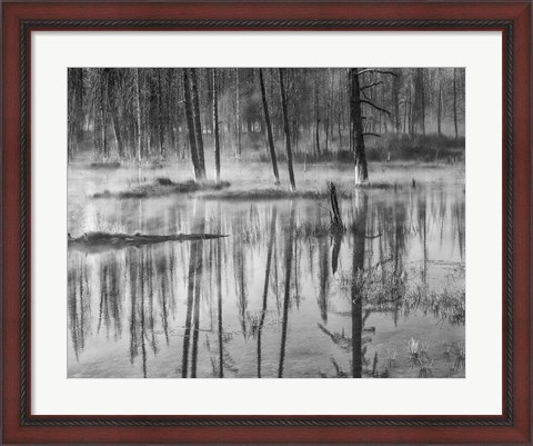 Framed Mistry Creek, Wyoming (BW) Print