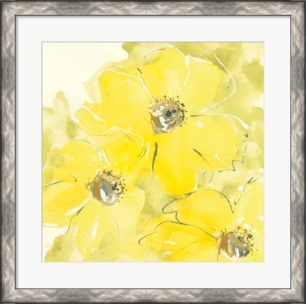 Framed Sunshine Cosmos I Print