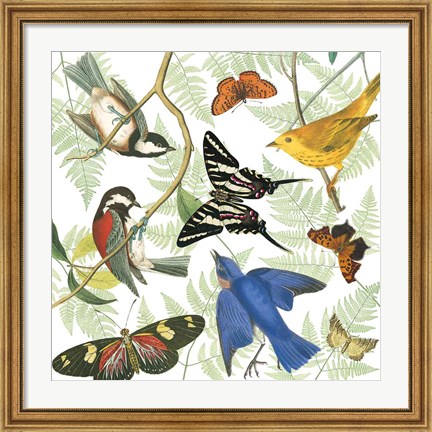 Framed Natures Flight II Print