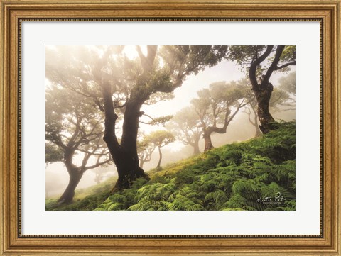 Framed Just Some Trees on a Hill Print