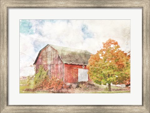 Framed Autumn Maple by the Barn Print