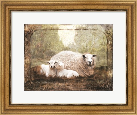 Framed Vintage Ewe and Sleeping Lambs Print