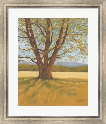 Framed Spring Meadow Print