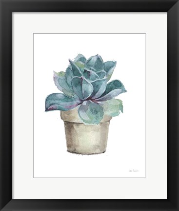 Framed Mixed Greens Succulent IV Print