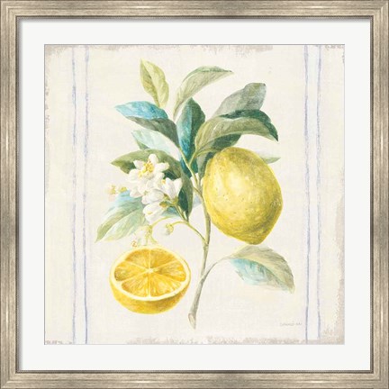 Framed Floursack Lemons IV Sq Navy Print