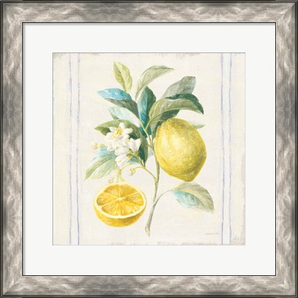 Framed Floursack Lemons IV Sq Navy Print