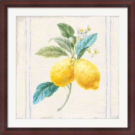 Framed Floursack Lemons III Sq Navy Print