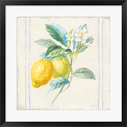 Framed Floursack Lemons II Sq Navy Print