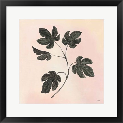 Framed Botanical Study III Blush Print