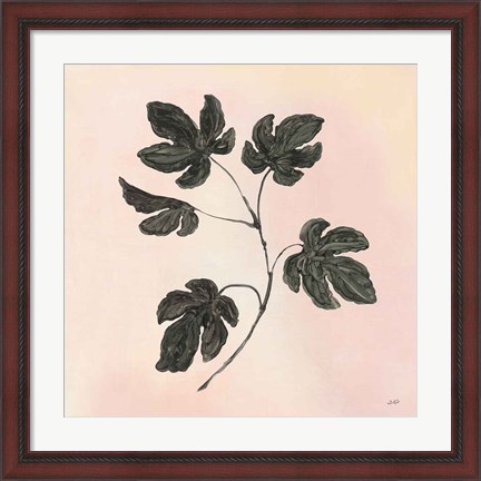 Framed Botanical Study III Blush Print