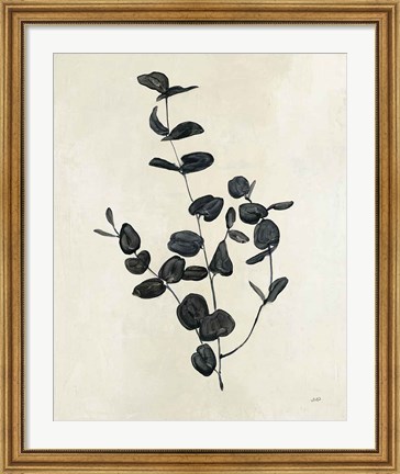 Framed Botanical Study II Print