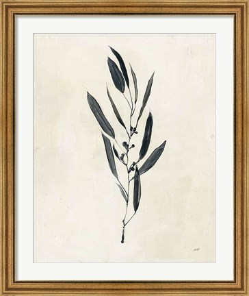 Framed Botanical Study I Print