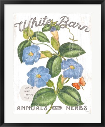 Framed White Barn Flowers II Print