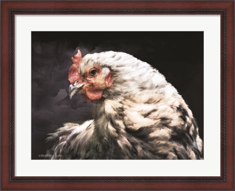 Framed Rooster Portrait Print