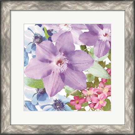 Framed Clematis I Print