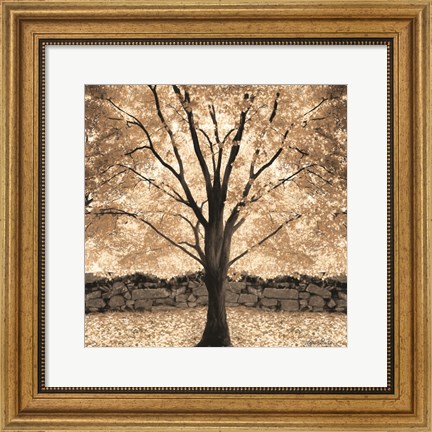 Framed Gold Canopy Tree Print