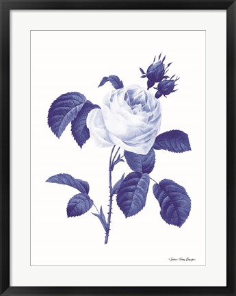 Framed Blue Botanical I Print