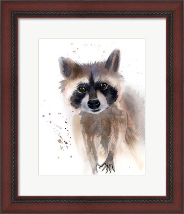 Framed Raccoon Print