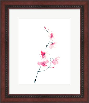 Framed Cherry Blossom Print