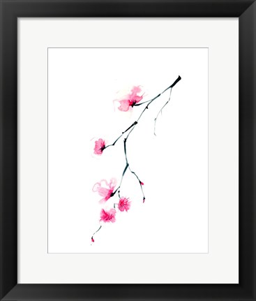 Framed Cherry Blossom II Print