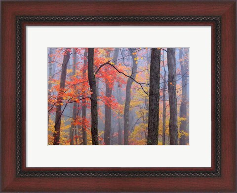 Framed Fire in the Fog Print