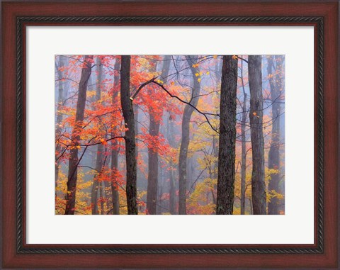 Framed Fire in the Fog Print