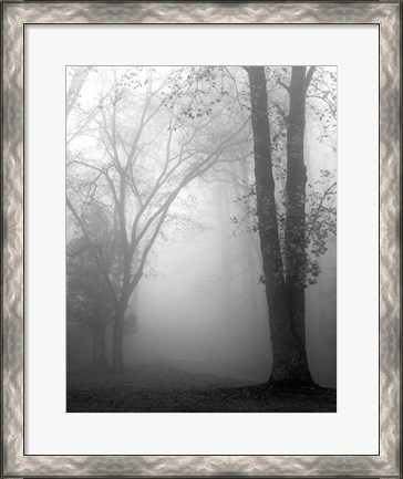 Framed November Fog Print