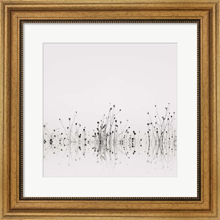 Framed Reflections Print