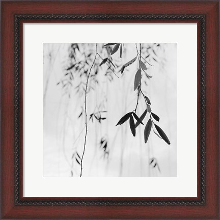 Framed Willow Print No. 3 Print