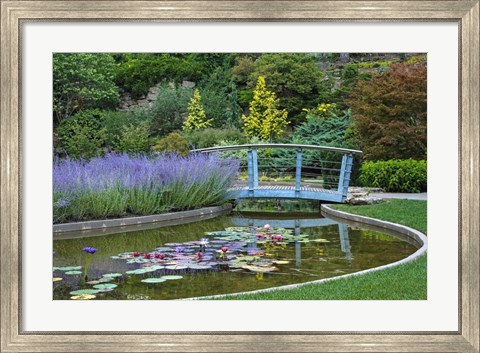 Framed Serenity Print