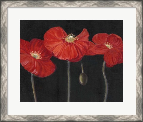 Framed Poppy Trio I Print