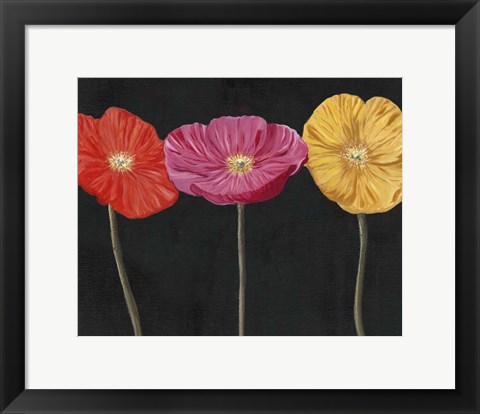 Framed Poppy Trio II Print