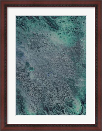 Framed Innate Sense II Print