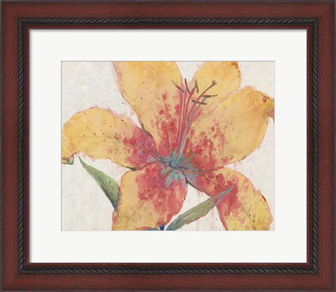 Framed Blooming Lily Print
