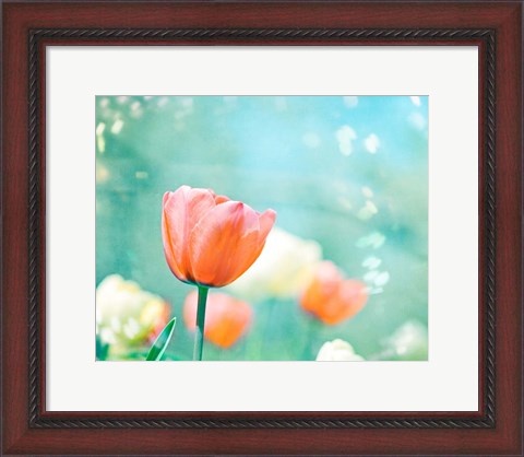 Framed Garden of Dreams Print