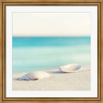 Framed Serenity Print